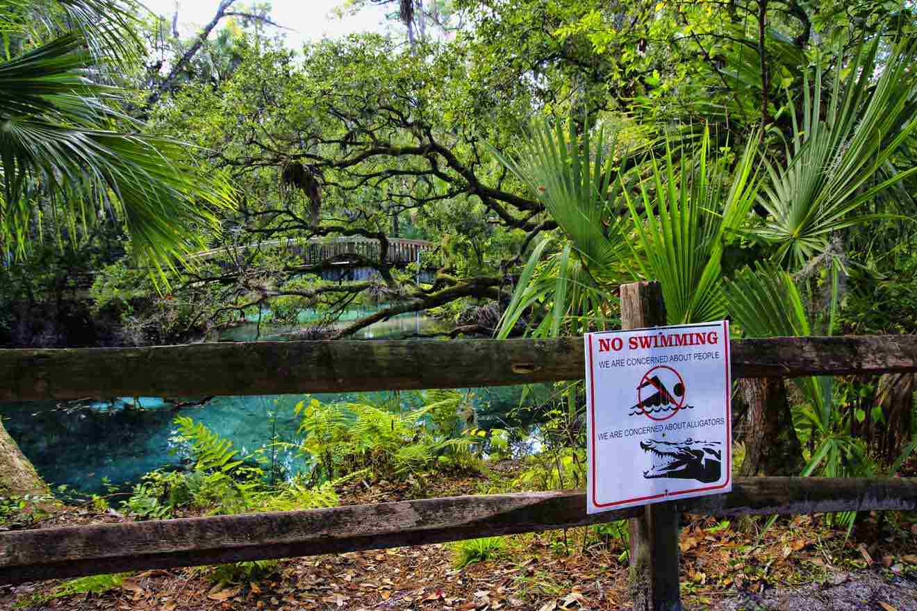 natural springs in Ocala, no swimming sign 