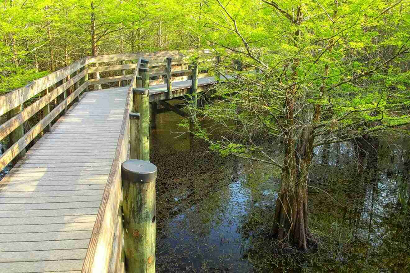 Big Cypress National Preserve