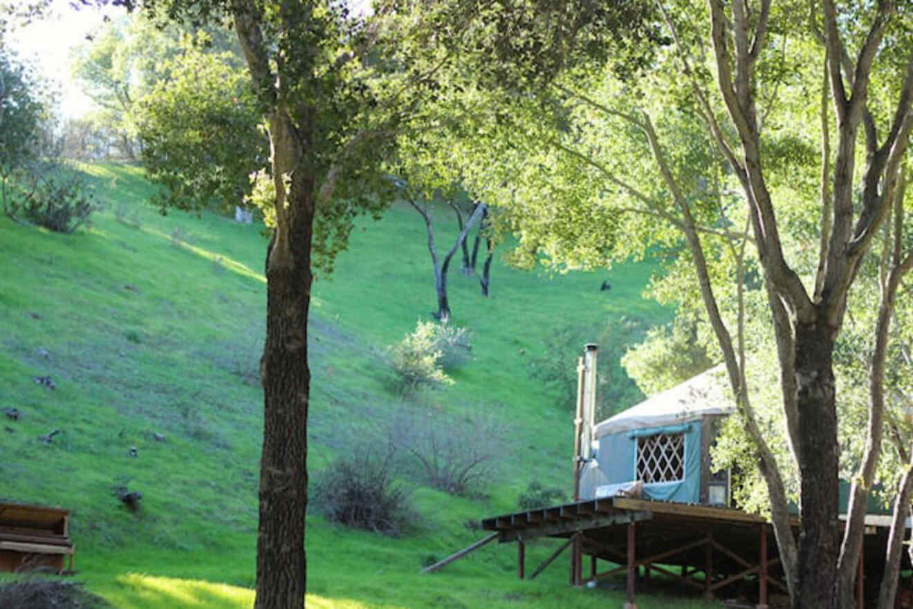 8 Stunning Exclusive Yurt romantic spot in Santa Barbara
