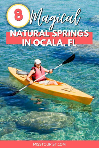 8 BEST Natural Springs in Ocala → Tips from a Local!