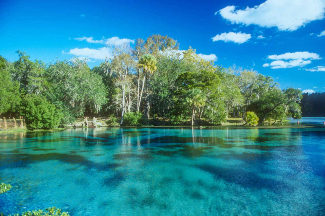 Natural Spring in Ocala