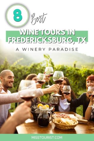 Best Wine Tours in Fredericksburg tx PIN 1