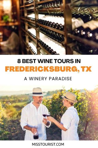 Best Wine Tours in Fredericksburg tx PIN 2