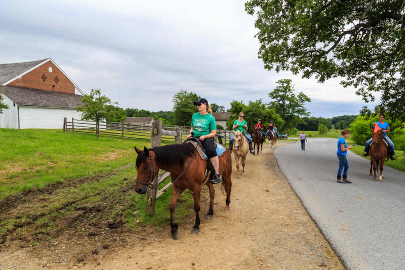 people riding horses