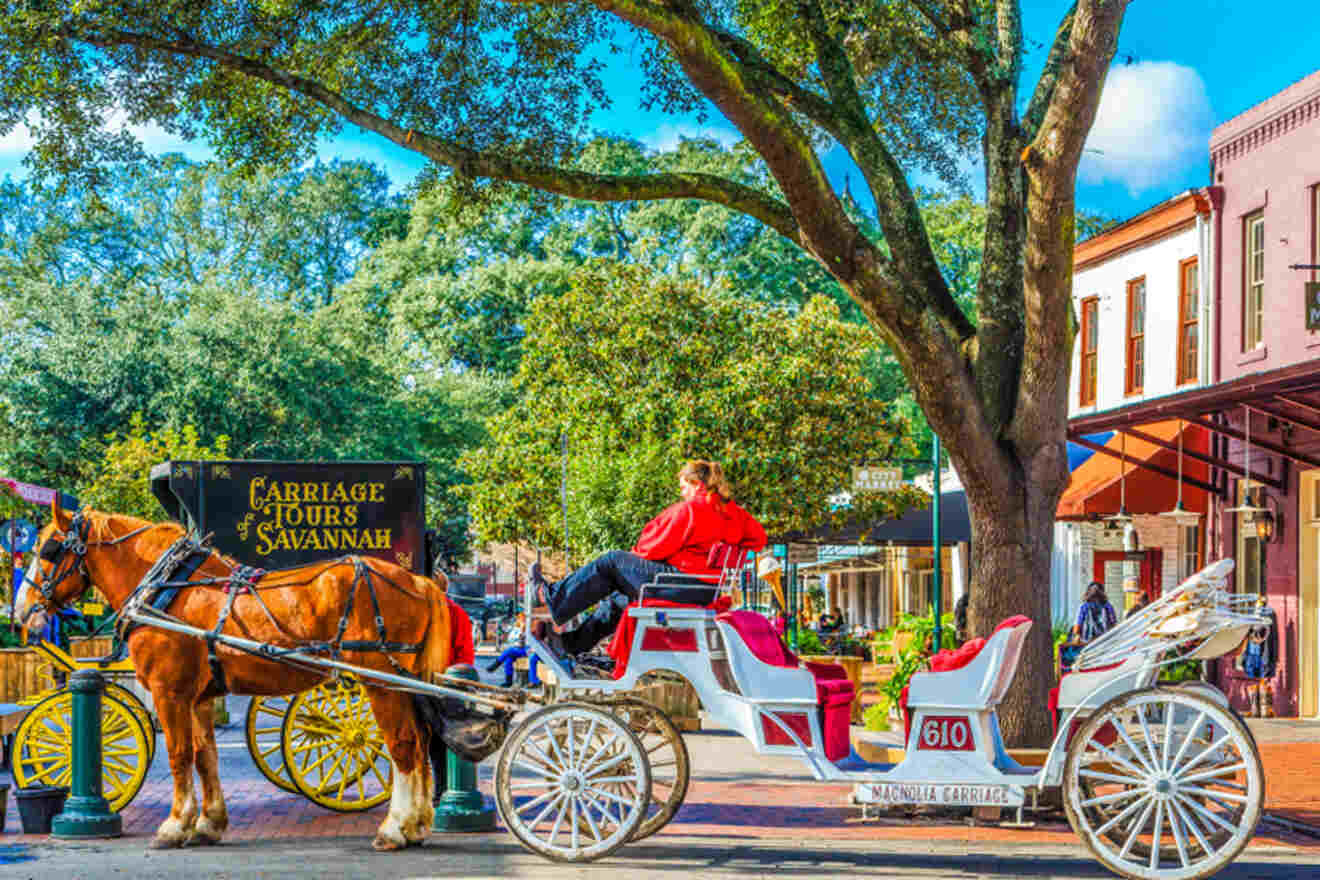 carriage waiting for tourists in Savannah