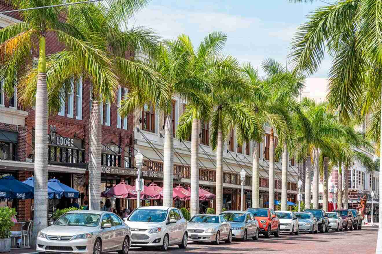 street with parked cars, palm trees and various shops and restaurants