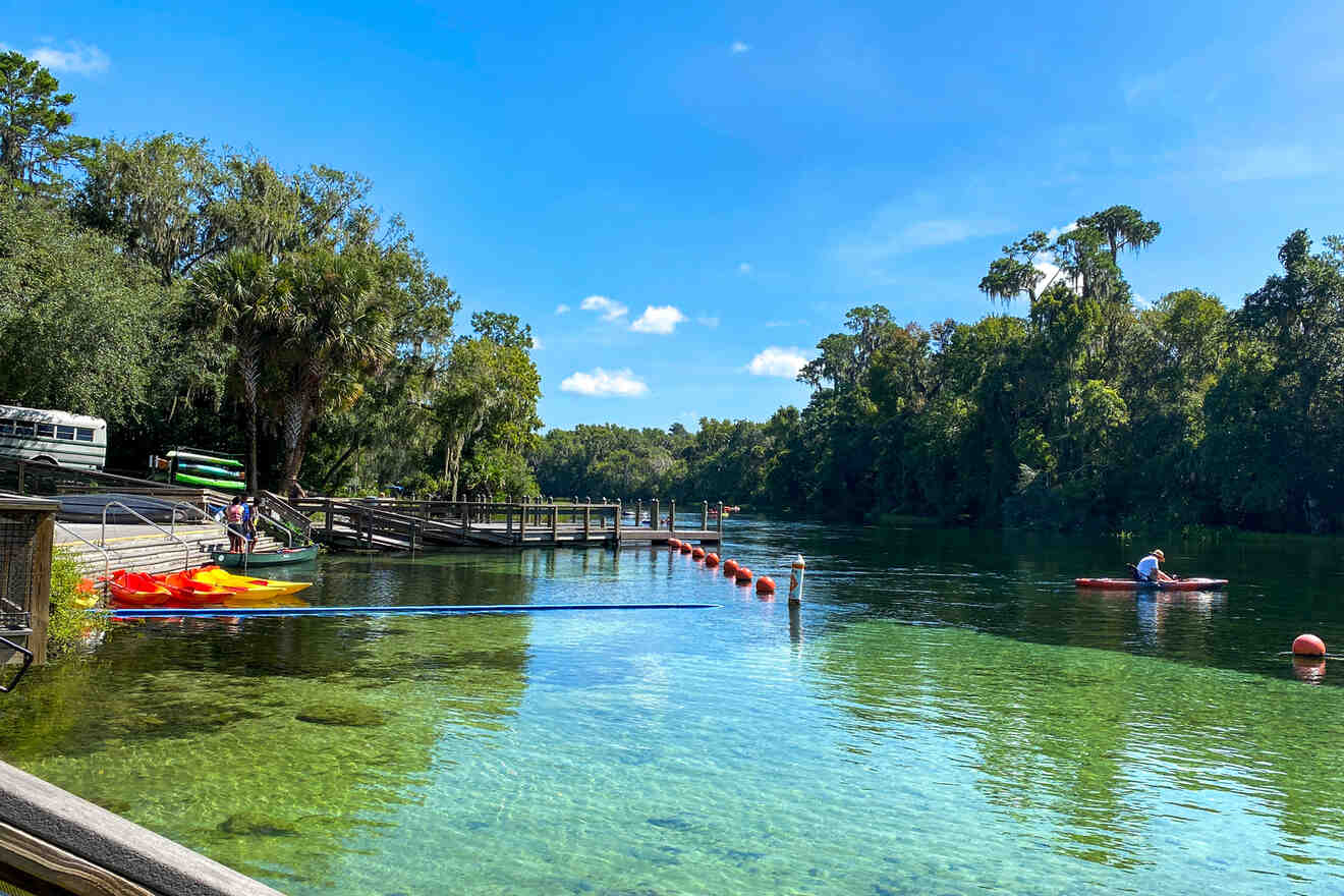 Ultimate Guide to Rainbow Springs ️ a Local’s Tips & Tricks