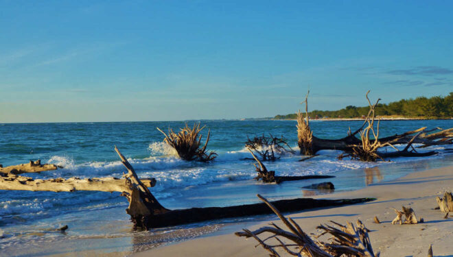 Ultimate Guide to Beer Can Island (Longboat Key) - showbizztoday