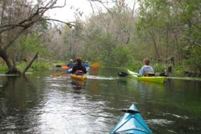 15 BEST Cabins Near Ichetucknee Springs State Park (+Prices)