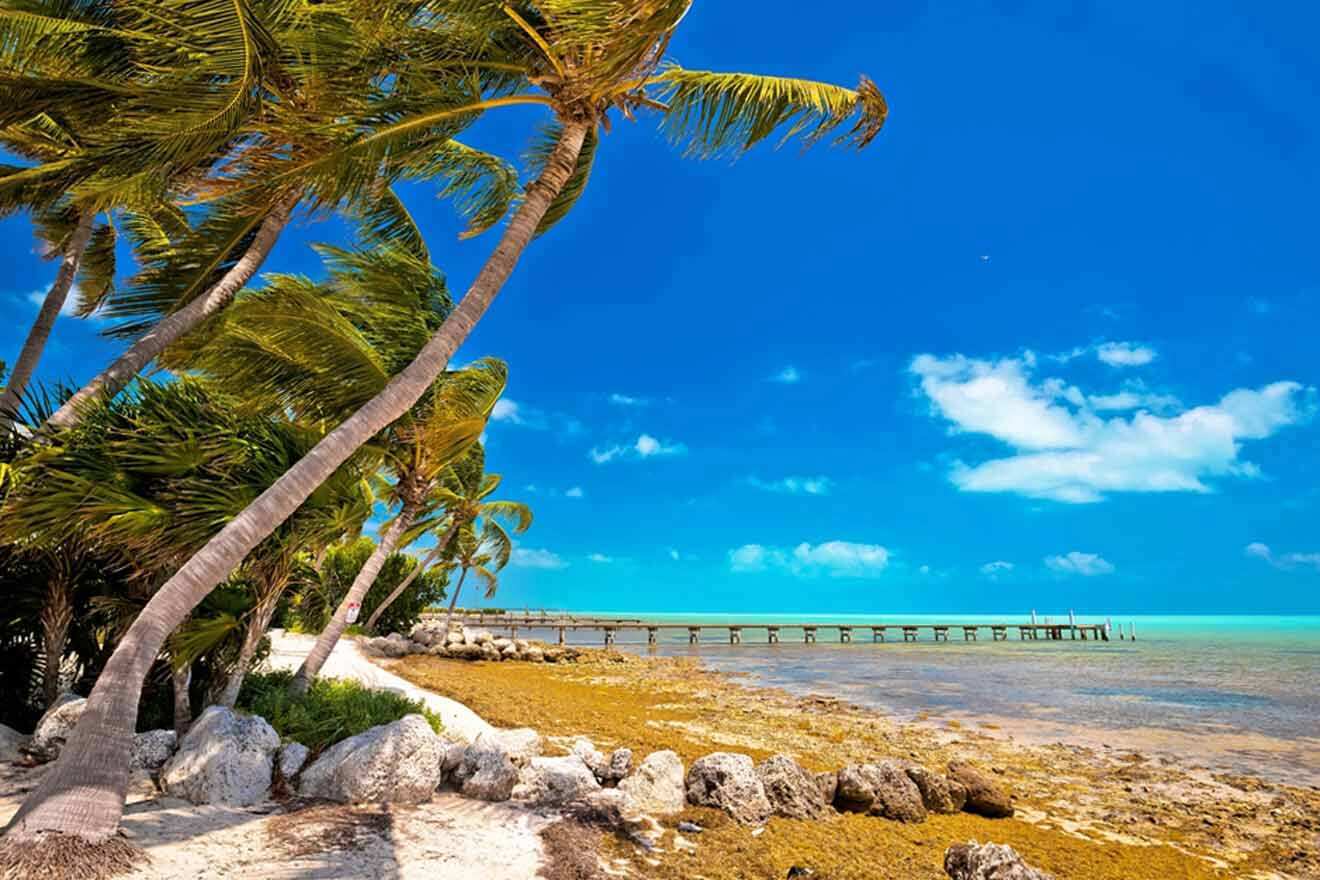 Beach at Islamorada with palm trees and pier view