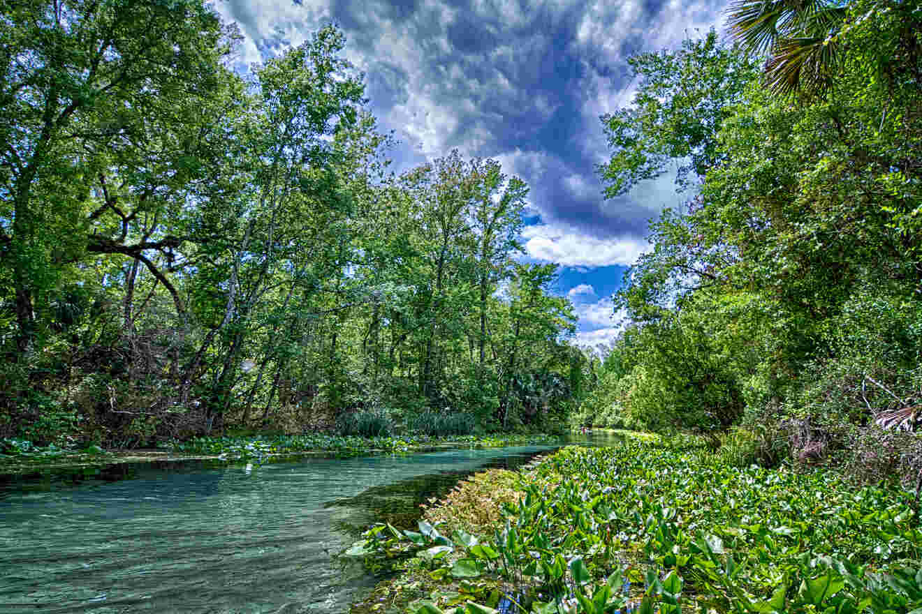 kelly park rock springs view