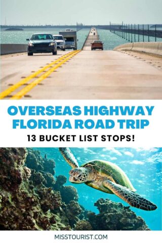 collage of 2 images containing a turtle swimming in the sea and cars driving on the Overseas Highway 