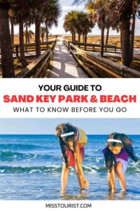 Guide to Sand Key Park & Beach ️ What to Know Before You Go