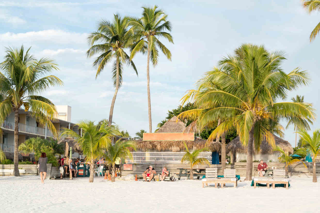 people on the beach 