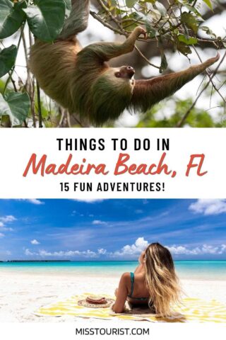 collage of 2 images with a woman on the beach and wildlife