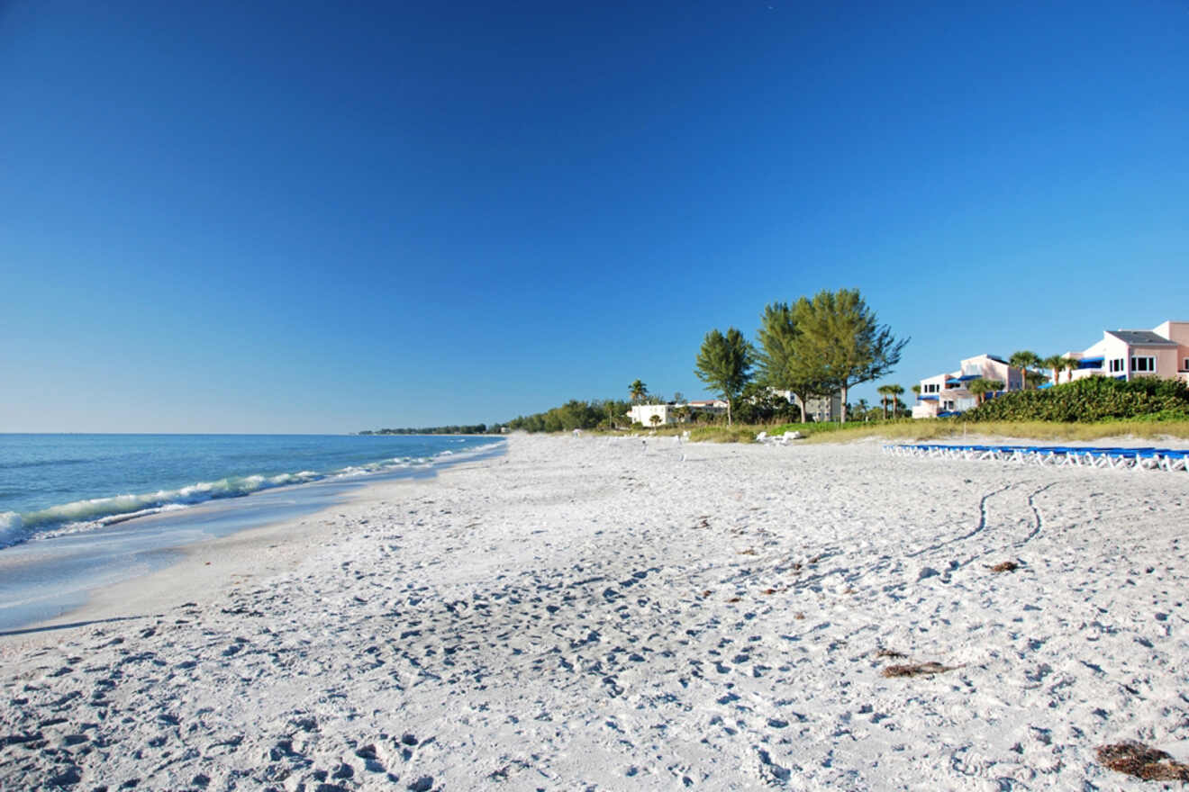 Ultimate Guide to Beer Can Island (Longboat Key) - showbizztoday