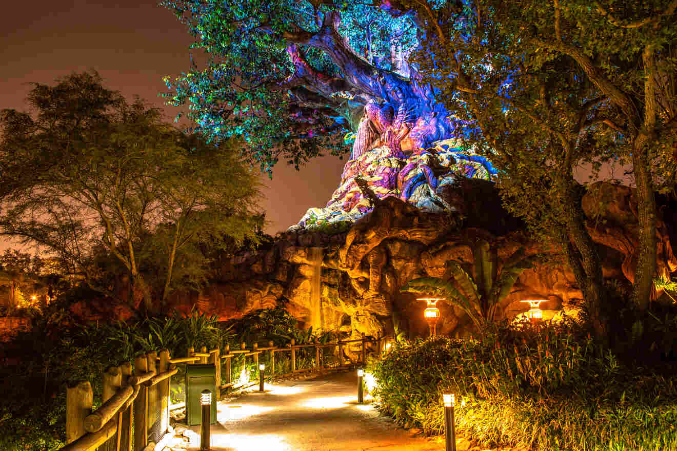 Tree of Life Awakenings in Christmas season at Animal Kingdom