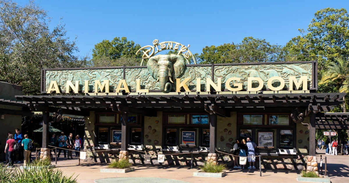 What to Do at Animal Kingdom → 2024 Planning Guide