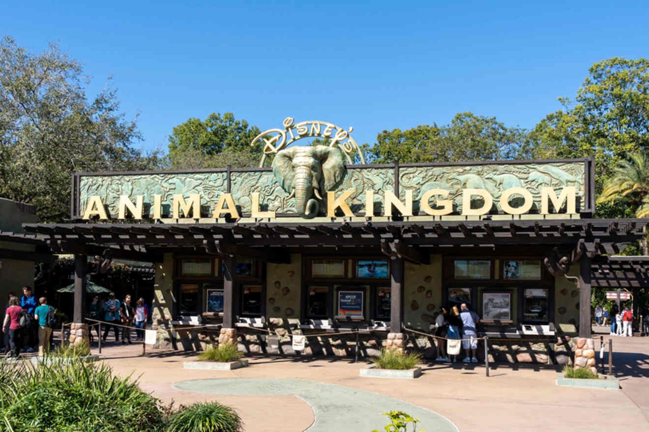 image of Animal Kingdom