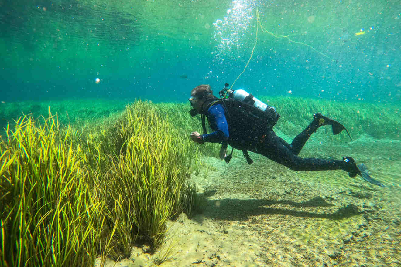 man snorkeling 