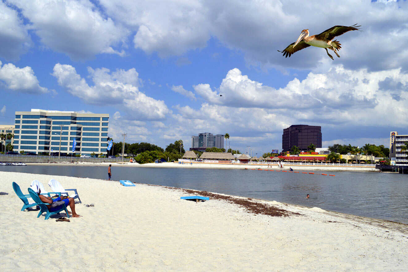 Ben T. Davis Beach, pelican flying over the shoreline