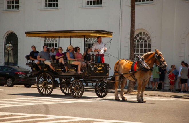 9 BEST Horse Carriage Tours in Charleston (w. Prices!)