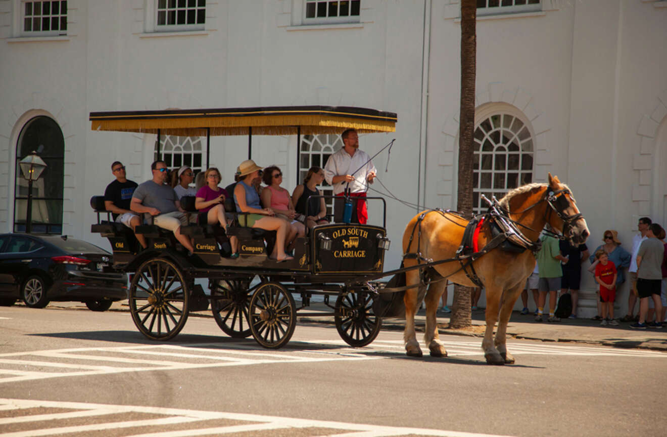 People riding on a carriage run by Old South Carriage Tours