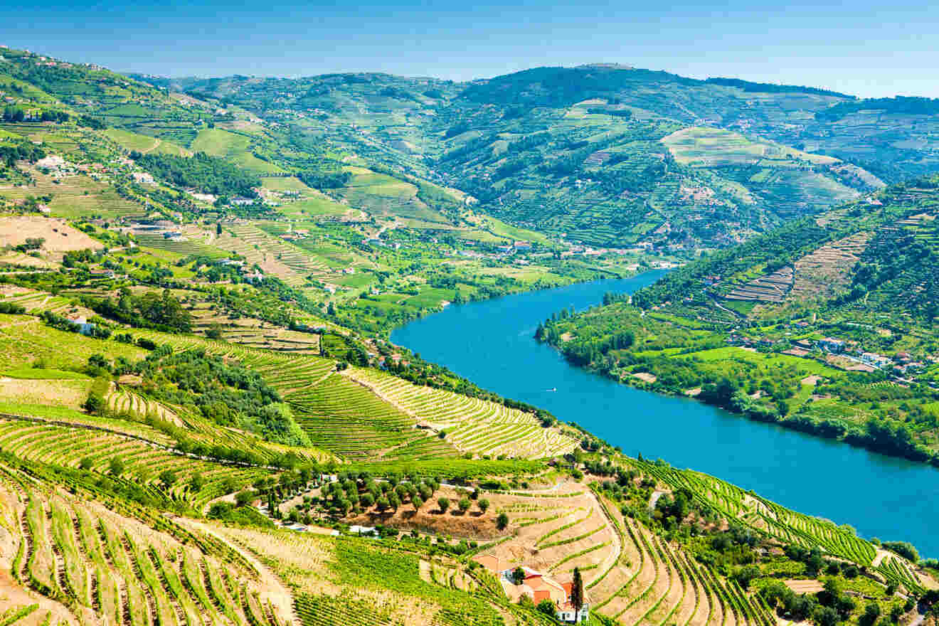 aerial view over Douro Valley