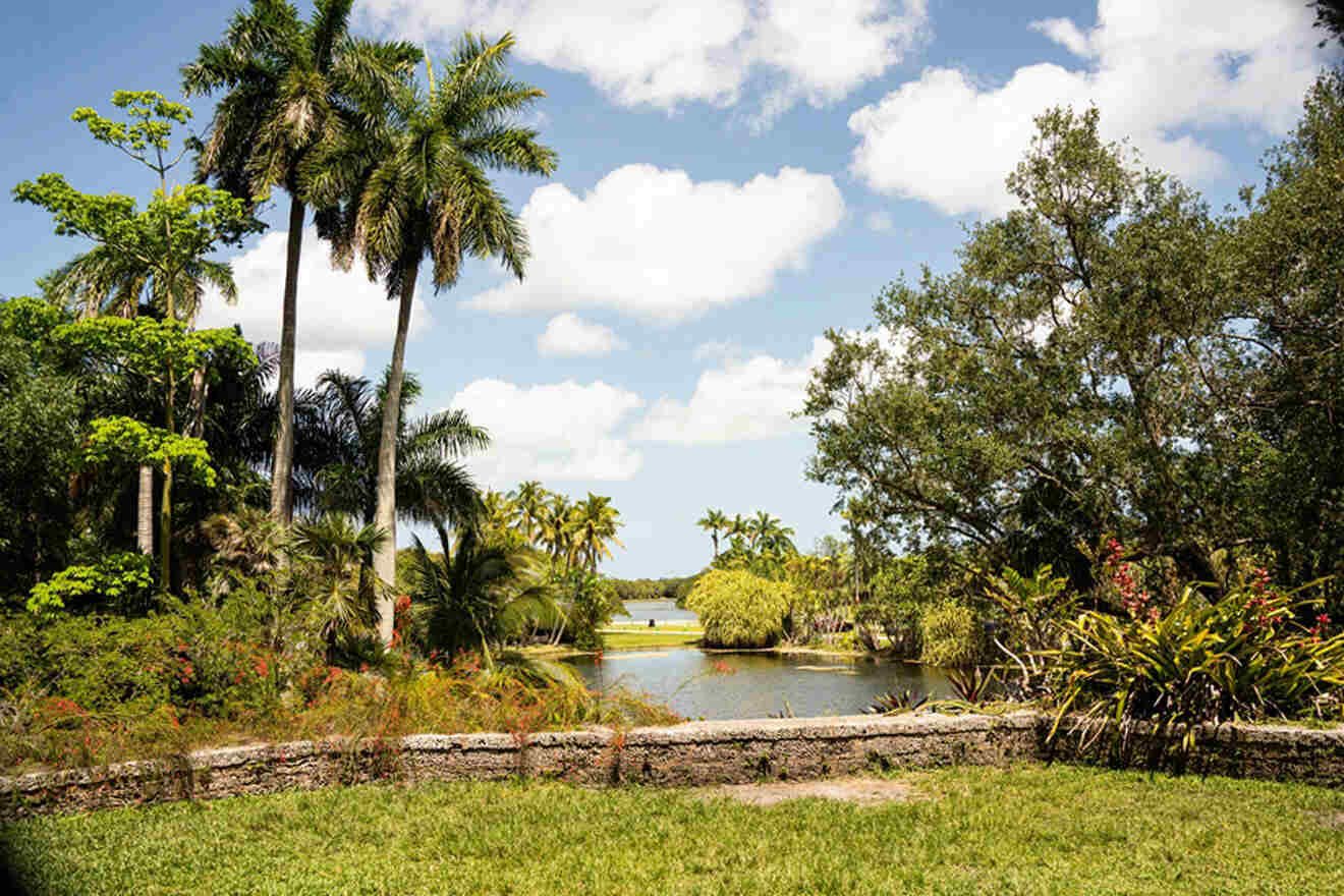 image from Fairchild Tropical Botanical Garden