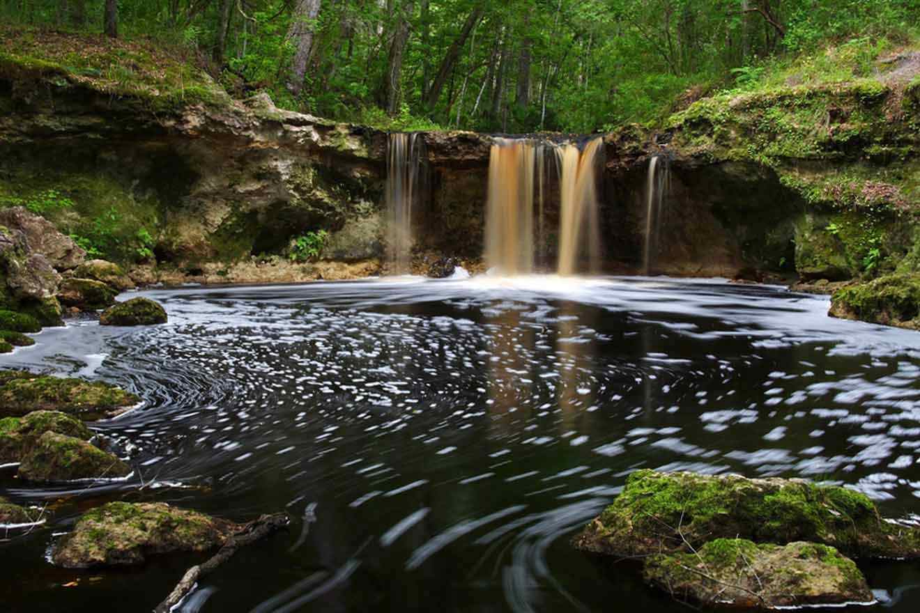 8 STUNNING Waterfalls in Florida ️ by a Local (+Map)