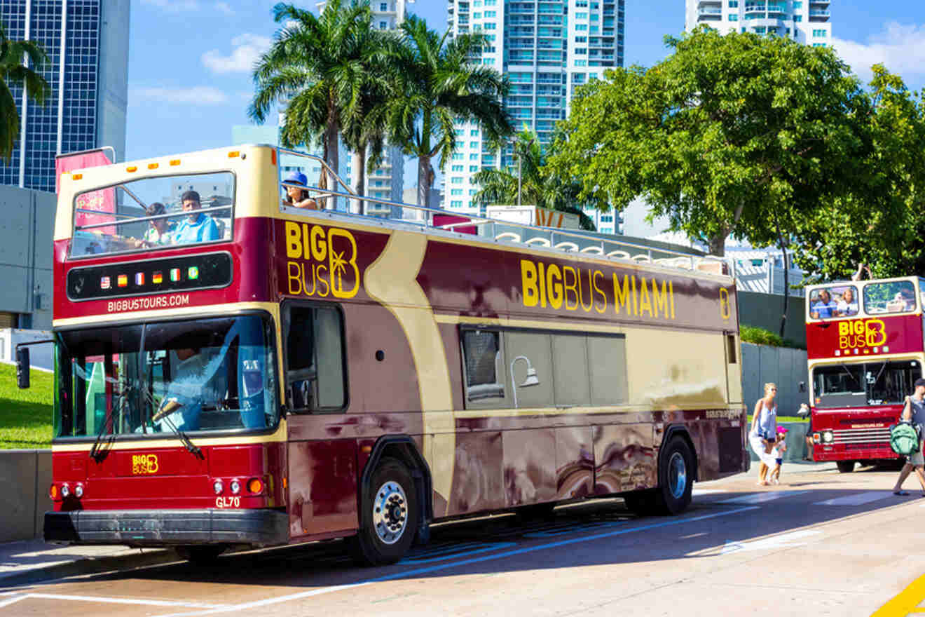 hop on hop off bus in miami 