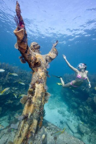 snorkeling at John Pennekamp Coral Reef State Park