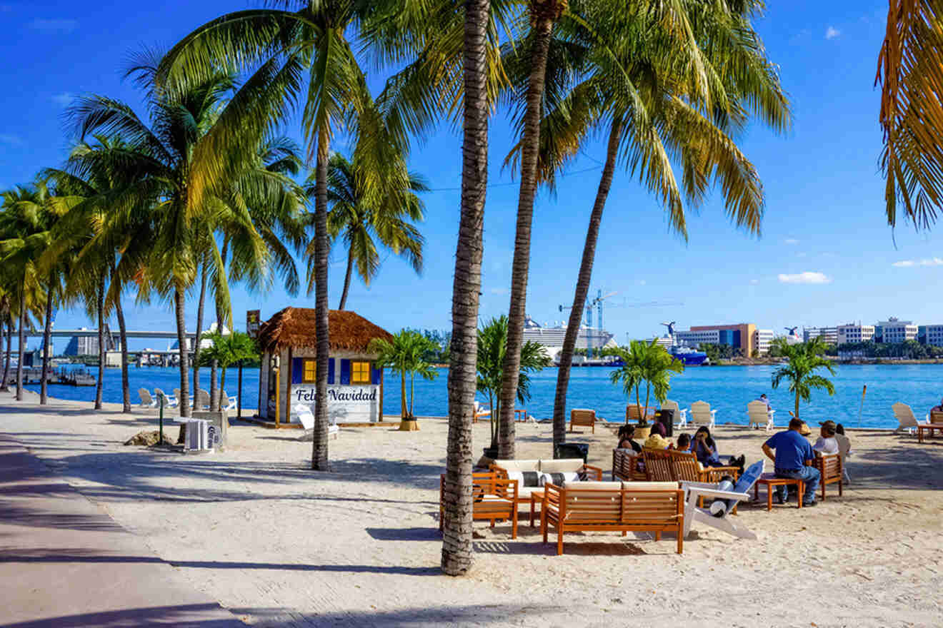 people sitting on benches enjoying the beautiful sea and palm trees Bayfront Park