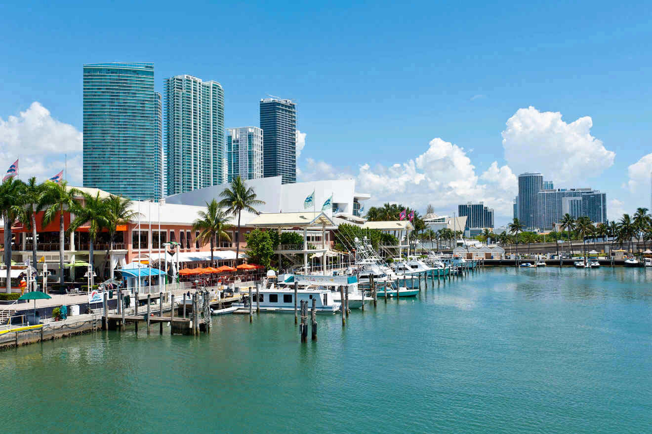 Things to Do in Miami  27 Exciting Activities From a Local!