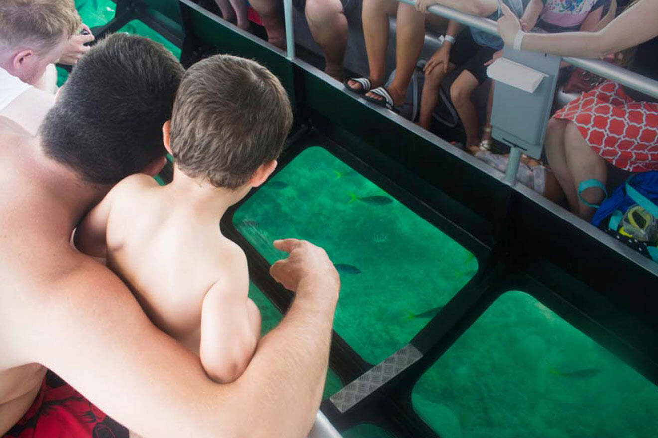 people in a glass bottom boat