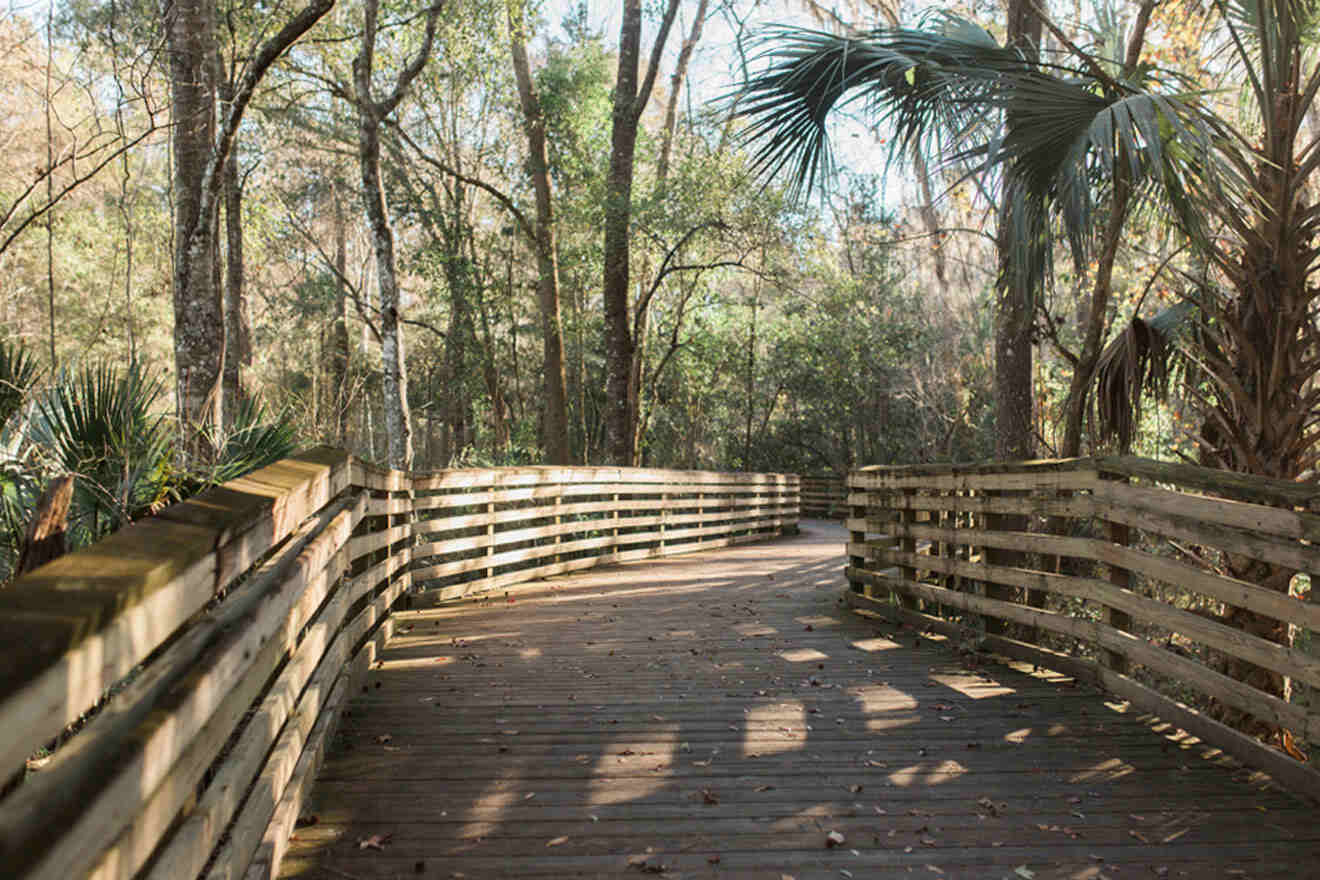 wooden foot path in Morningside Nature Center