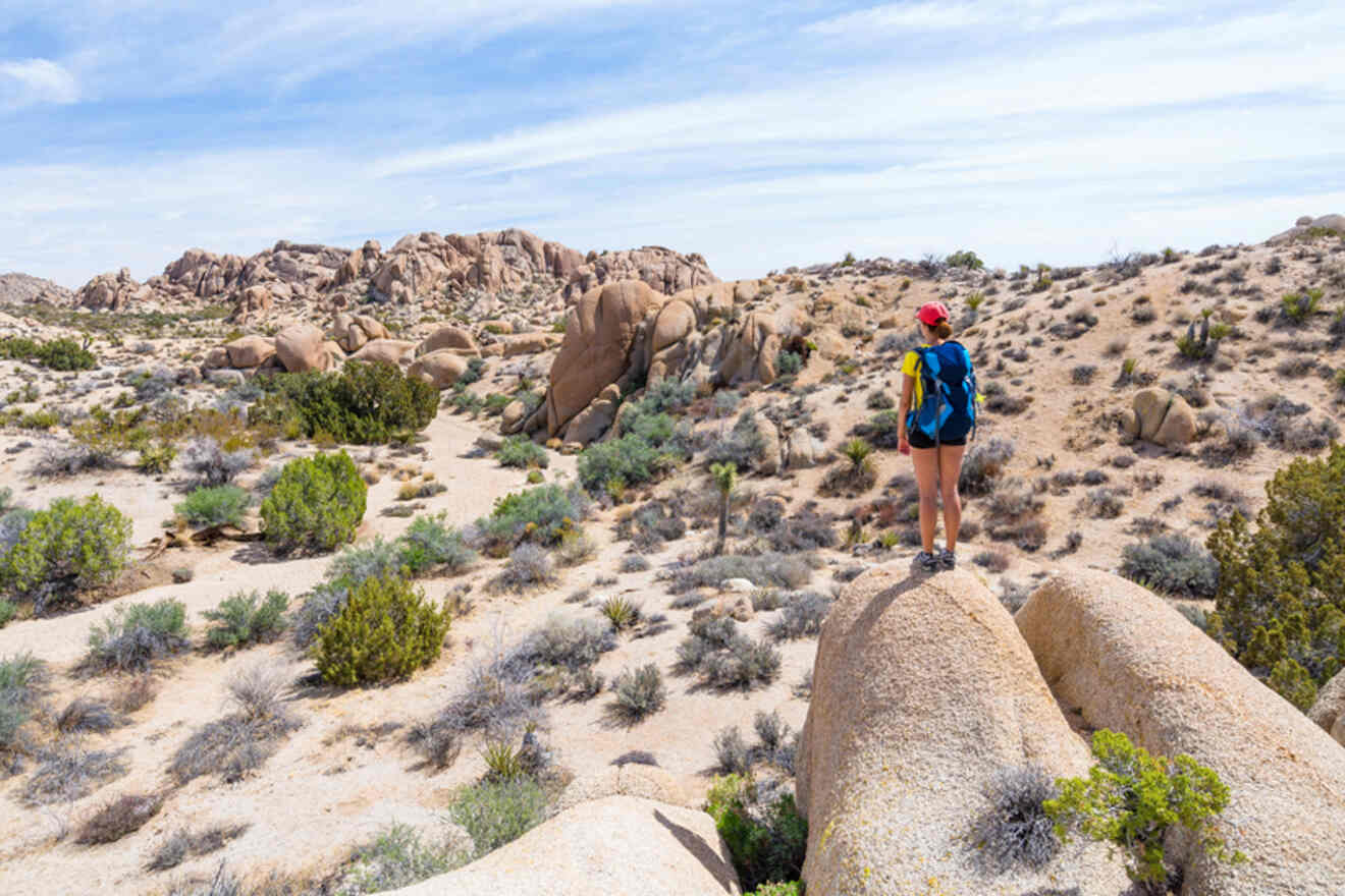 A woman looking out at Joshua tree national park