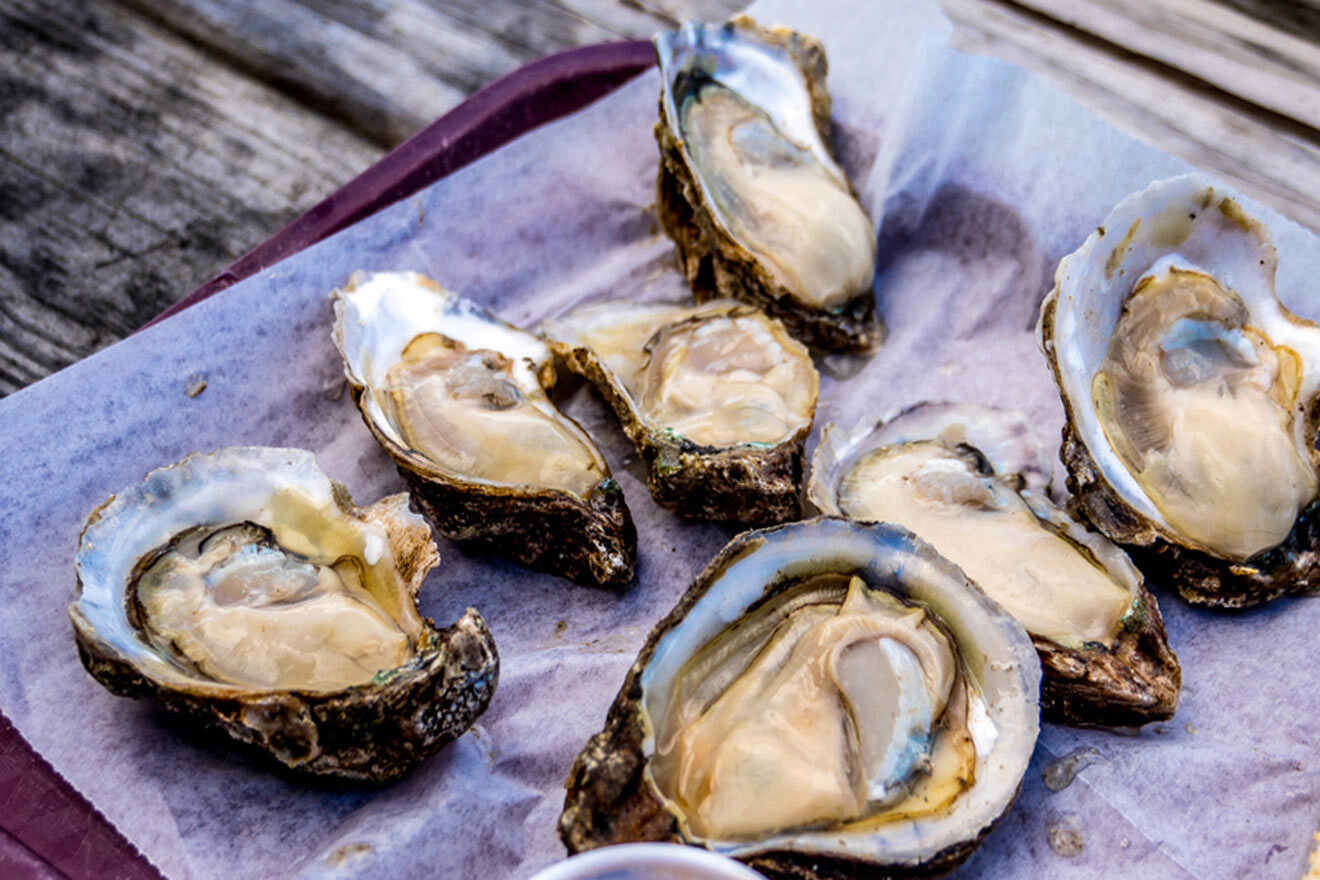 oysters