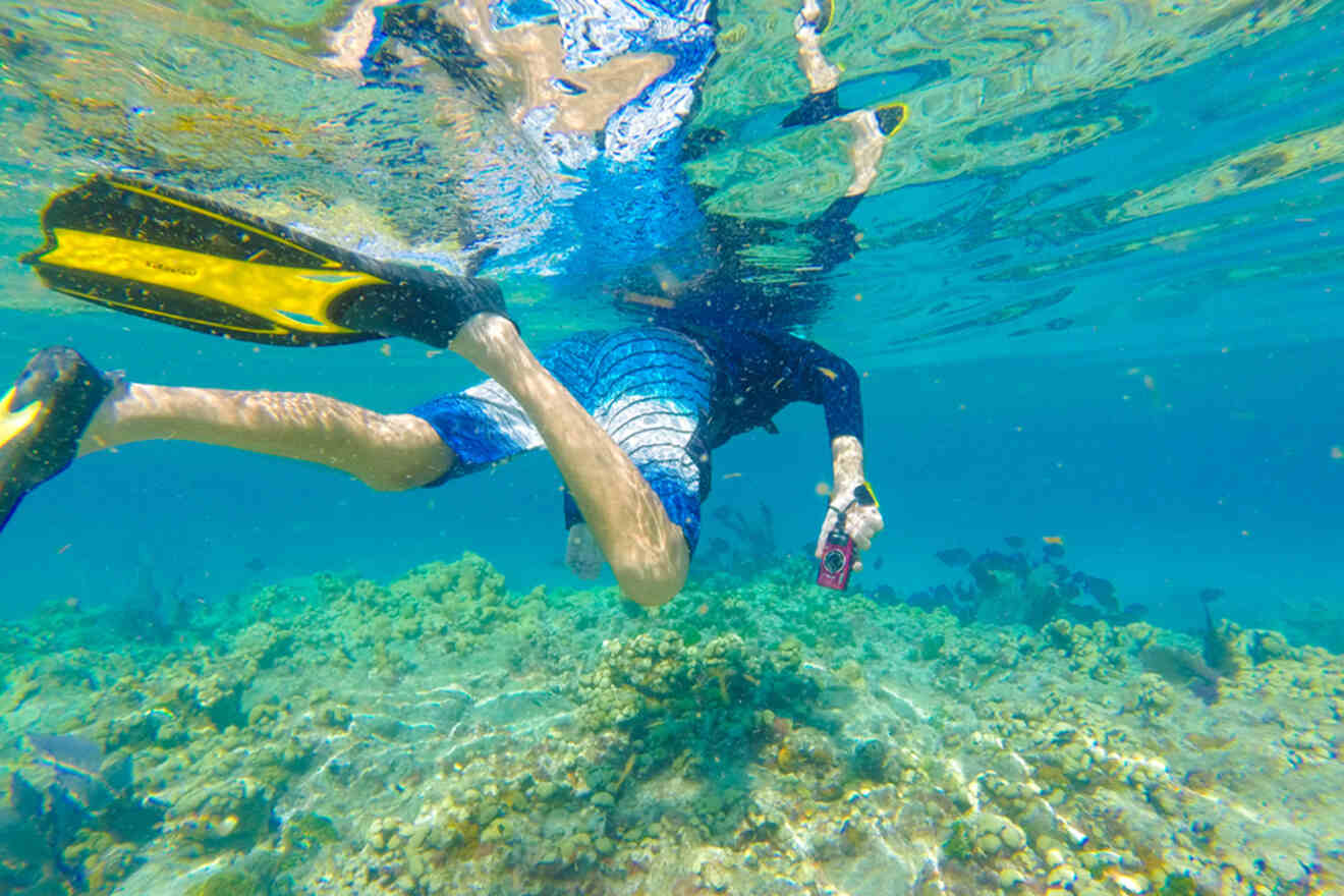 Snorkeler swimming in shallow waters