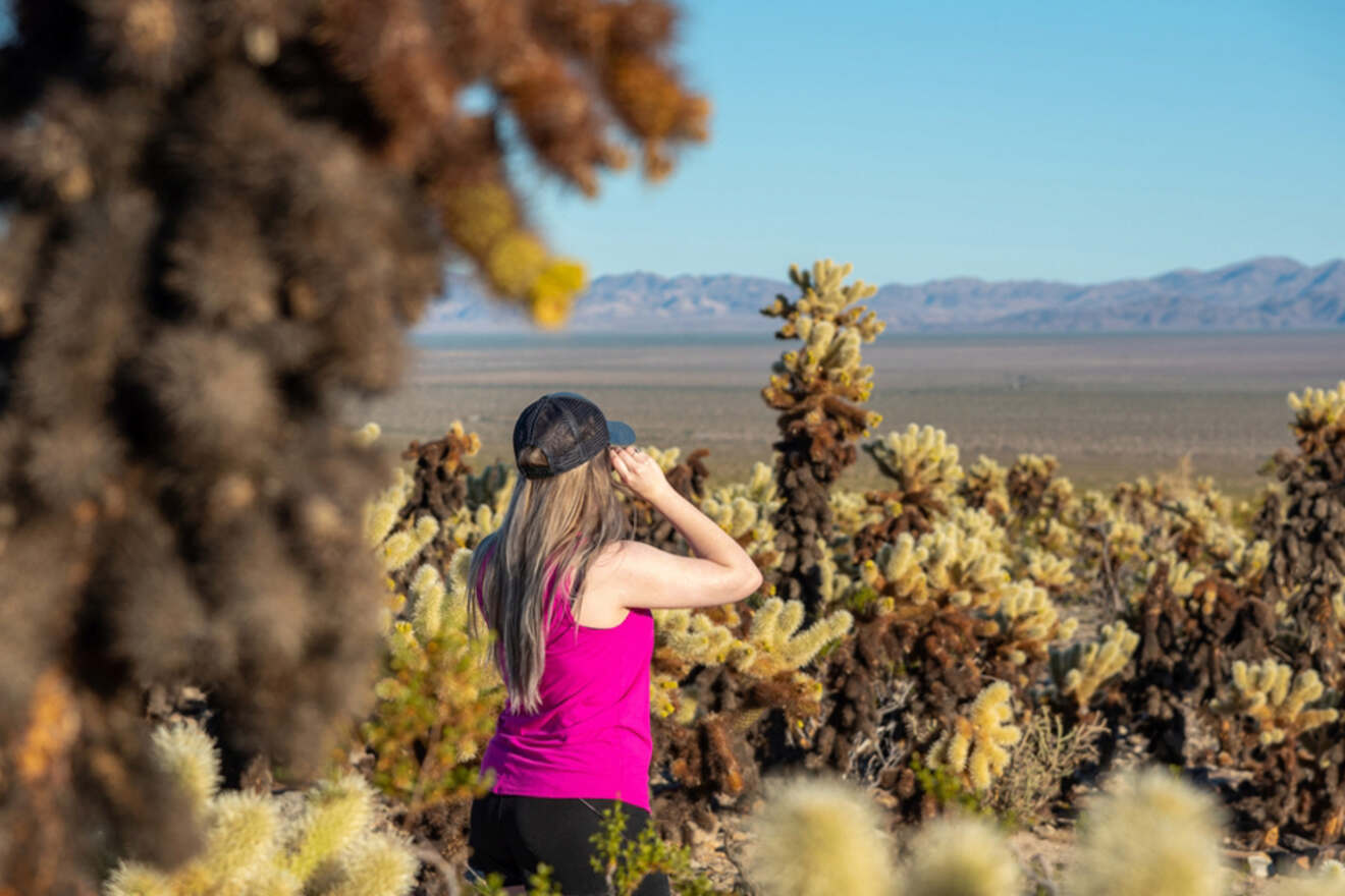 18 scavenger hunt in Joshua Tree