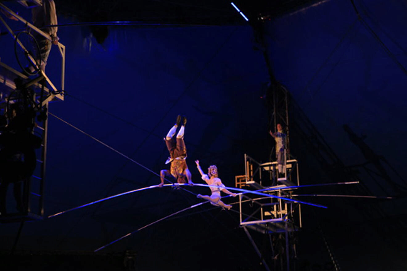 image from Sarasota Circus