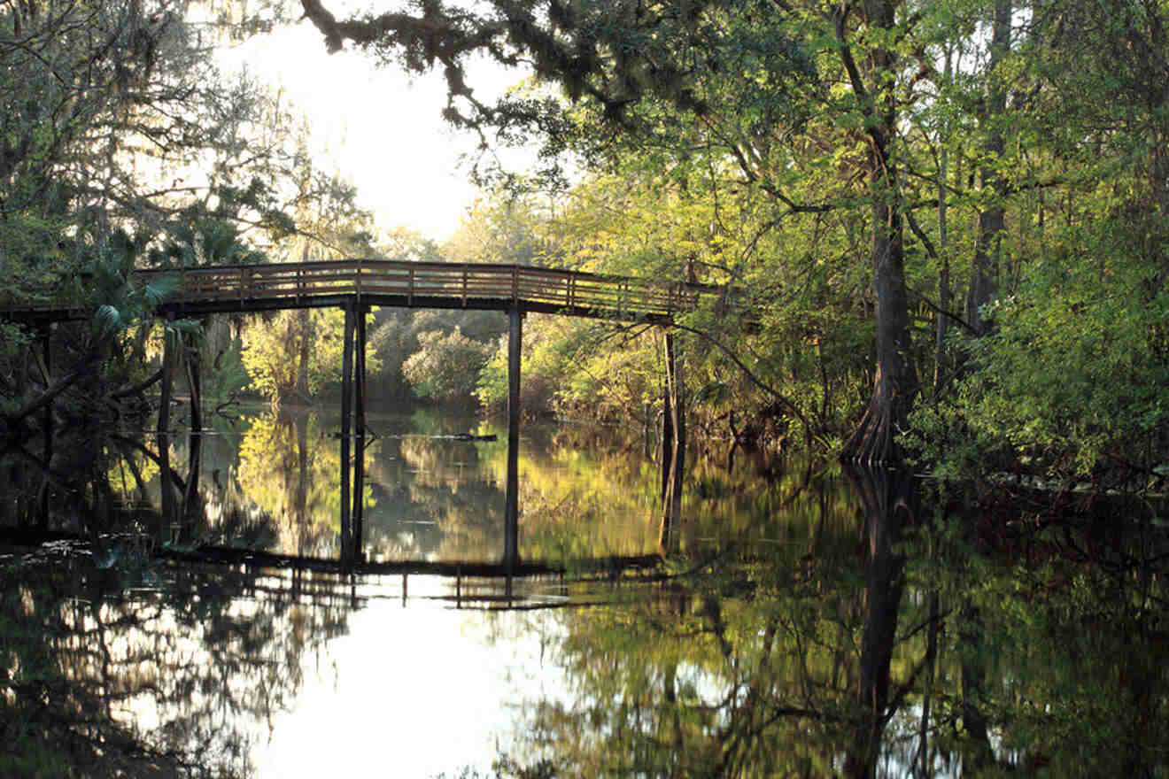 bridge at Hillsborough River State Park