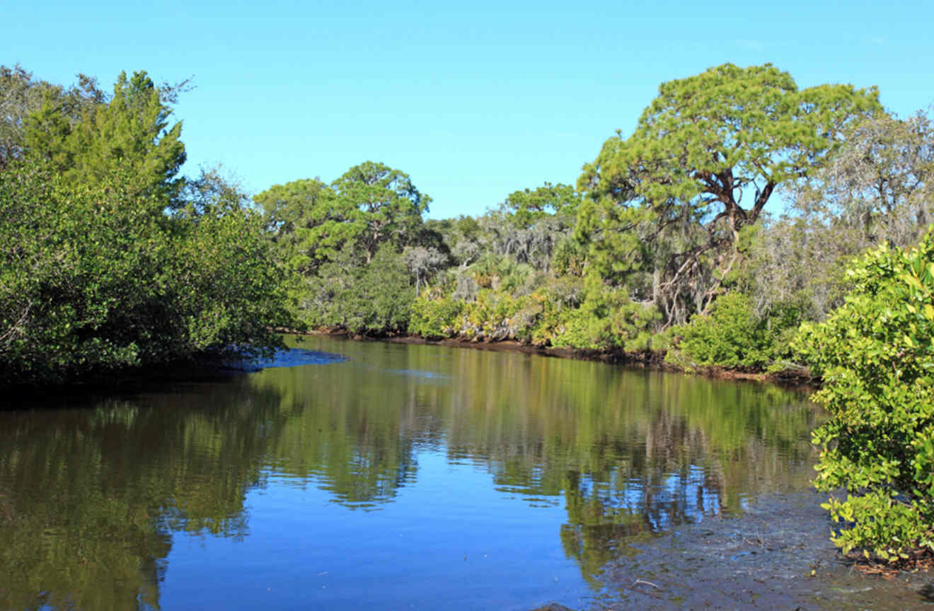 Water and nature at Charlotte Harbor Preserve State Park