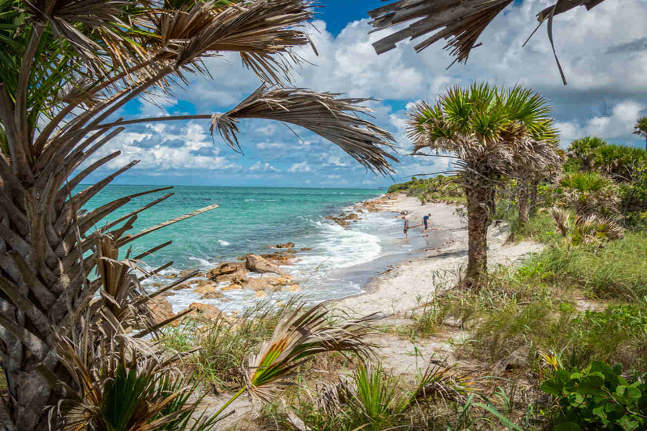 Sarasota Coastlines Are Some Of The Best Shelling Beaches In