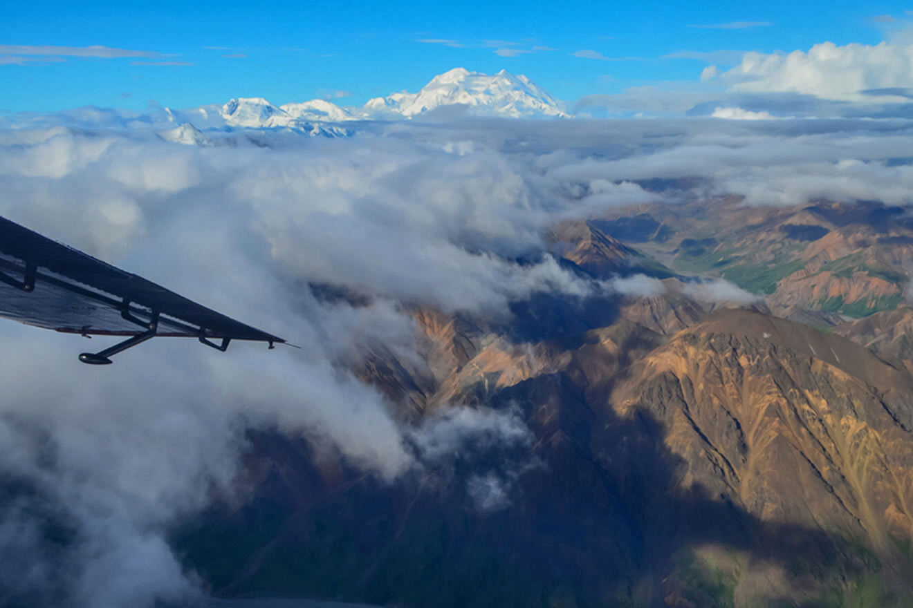 view over Denali National Park