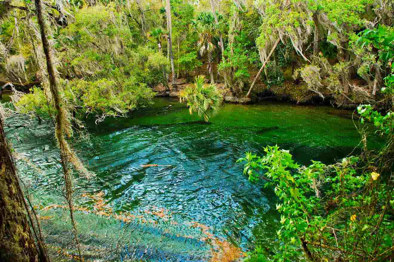 Ichetucknee Springs State Park