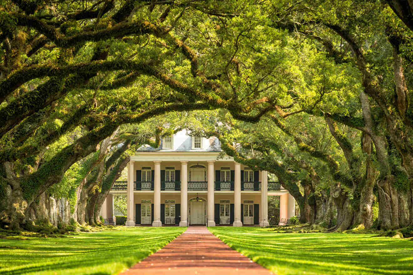  Oak Alley Plantation