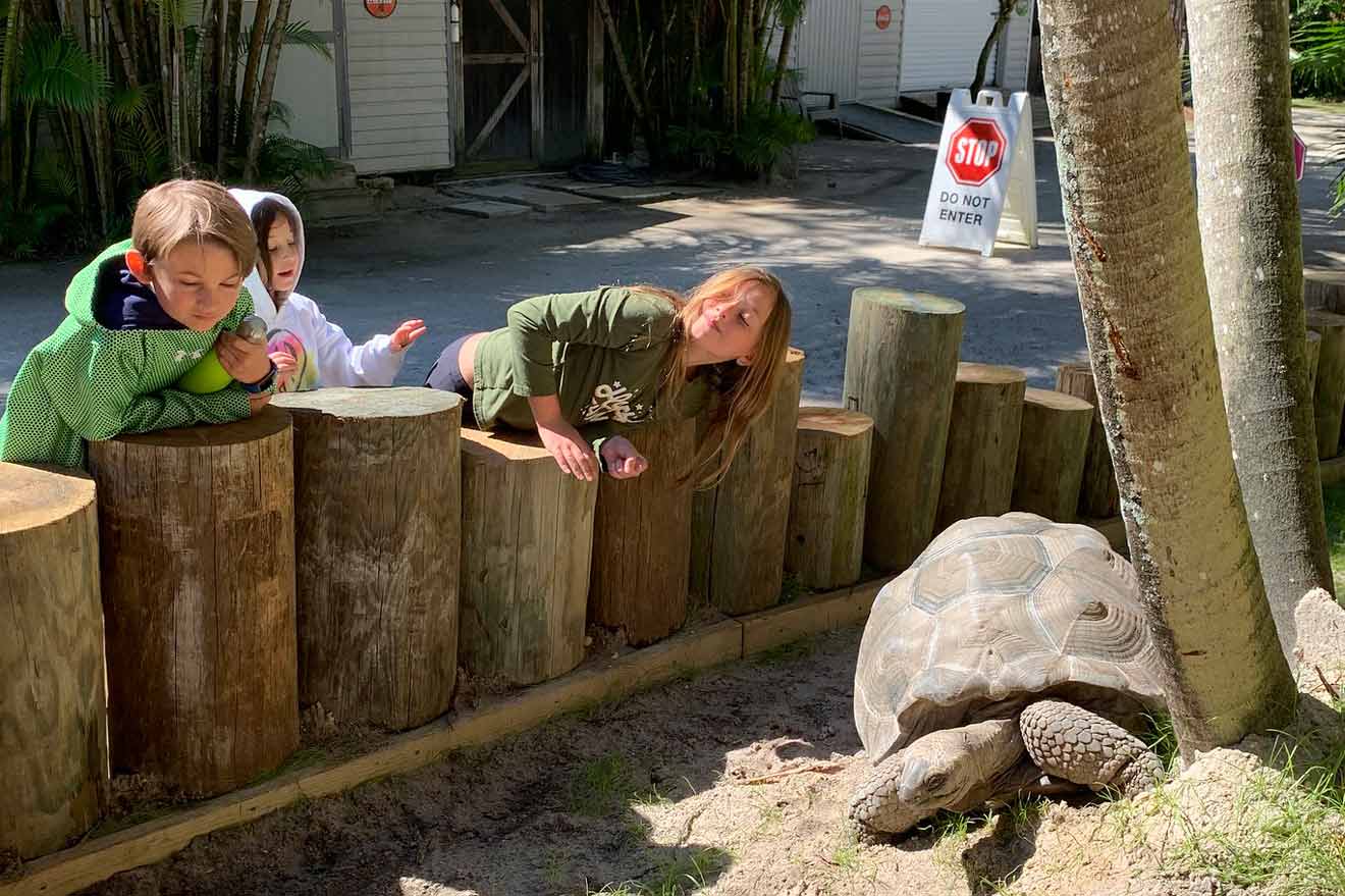 20 McCarthys Wildlife Sanctuary with kids