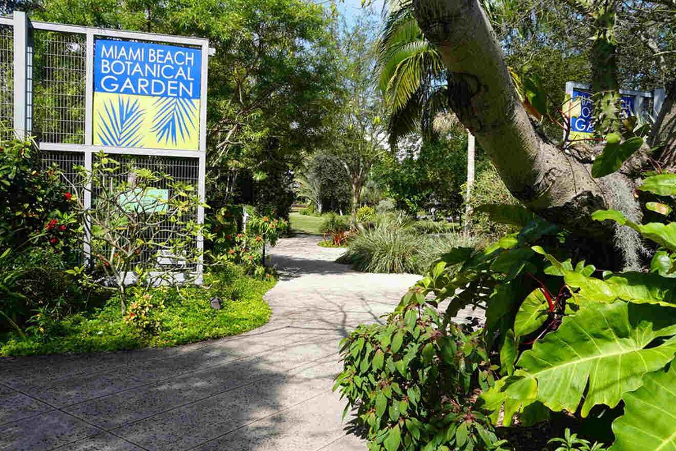 image from Miami Beach Botanical Garden