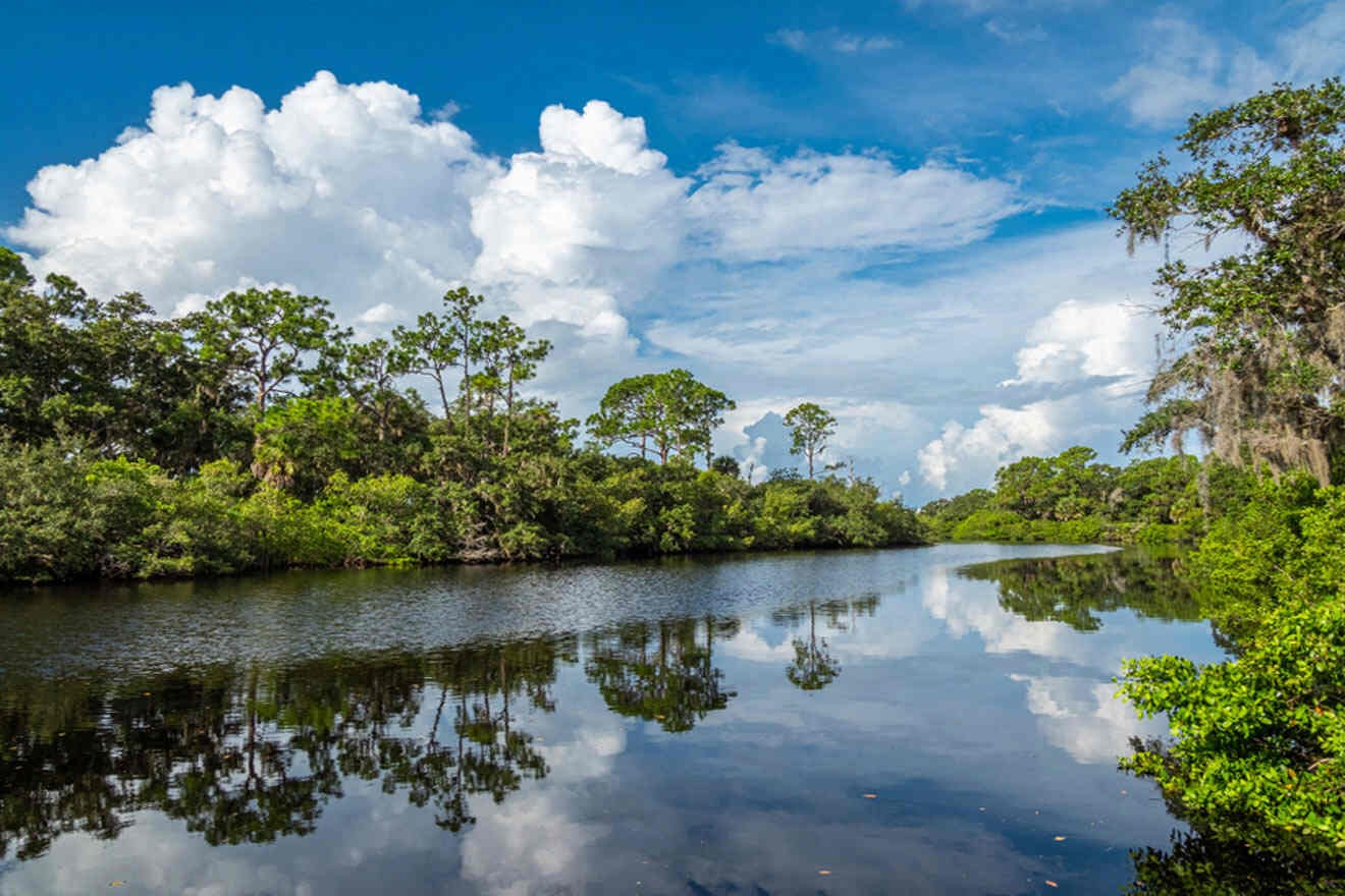 Oscar Scherer State Park